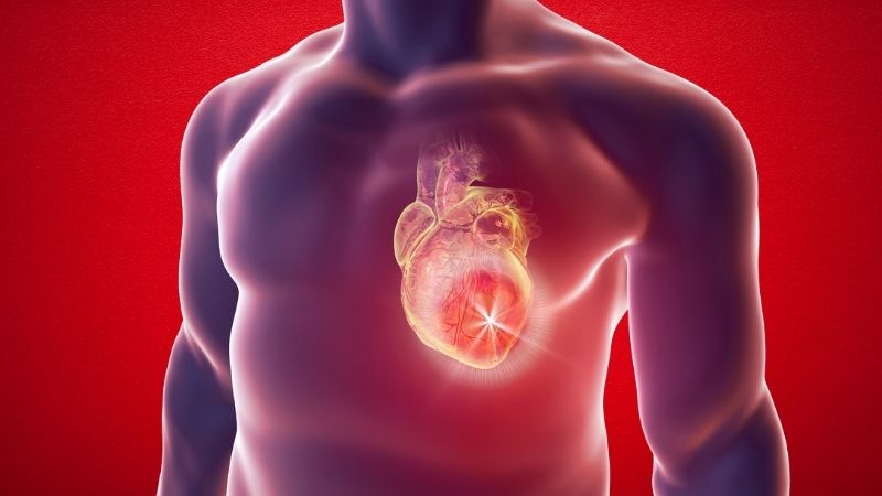 Cardiologia